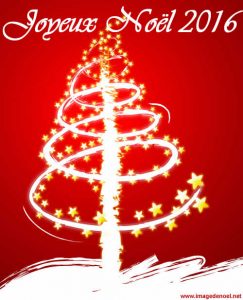 image-sapin-noel-2016